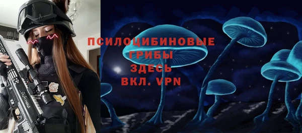эйфоретик Балахна