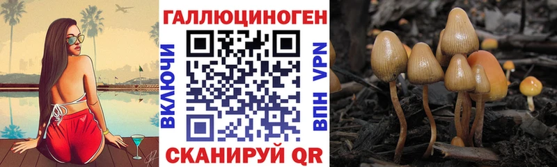 Галлюциногенные грибы GOLDEN TEACHER  даркнет сайт  Корсаков 